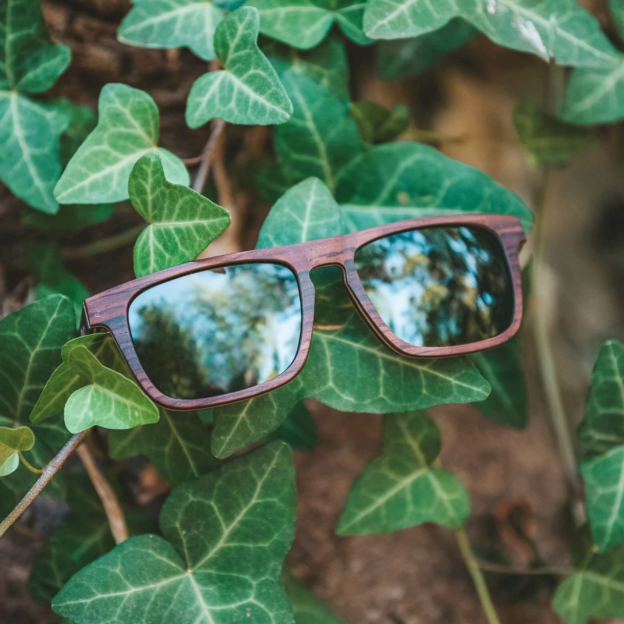 Palau Wooden Sunglasses Eco Friendly Stylish